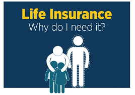 What is the main purpose of life insurance